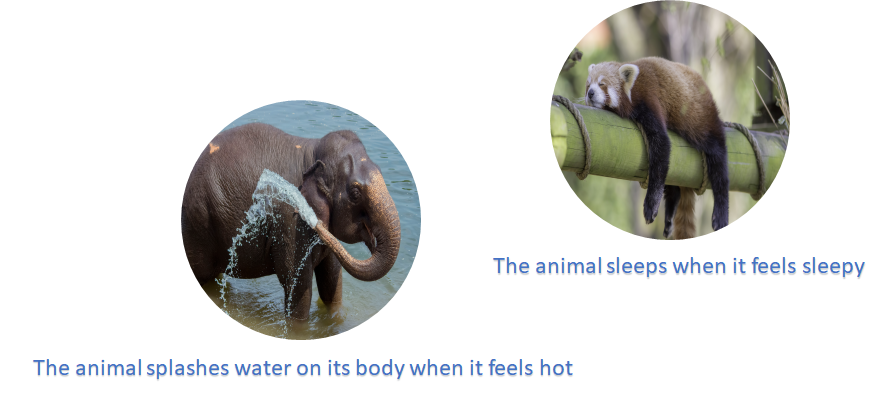 Internal and external stimuli Internal and external stimuli